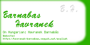 barnabas havranek business card