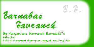 barnabas havranek business card